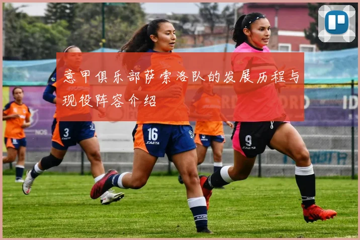 意甲俱乐部萨索洛队的发展历程与现役阵容介绍