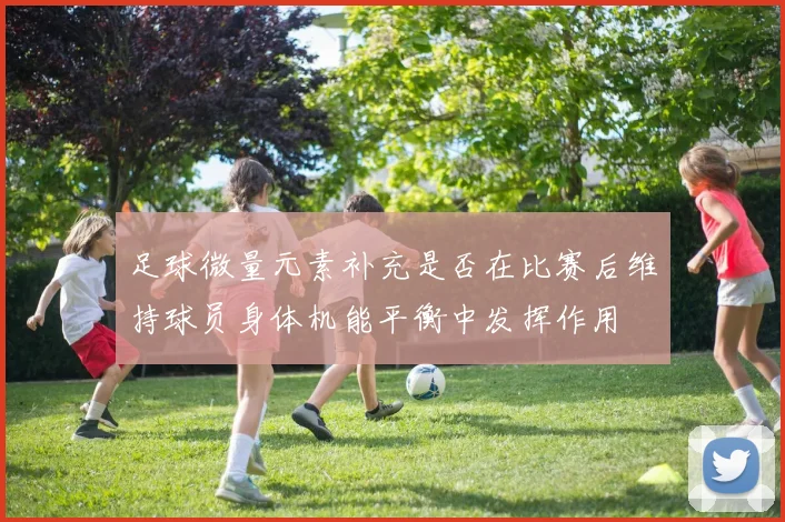 足球微量元素补充是否在比赛后维持球员身体机能平衡中发挥作用