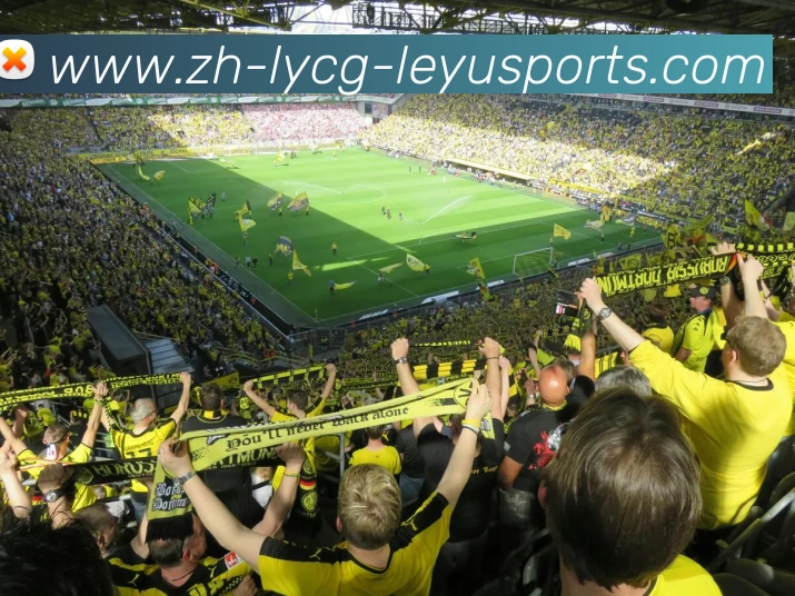 乐鱼体育发展历程